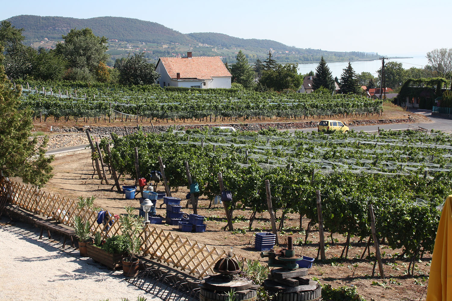 badacsony t&uacute;r&aacute;k